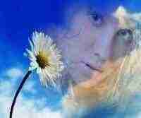 флеш открытка Мой рай флеш открытка Мой рай