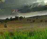 флеш открытка Ты где флеш открытка Ты где