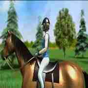 игра верхом на лошади поездка на лошади
